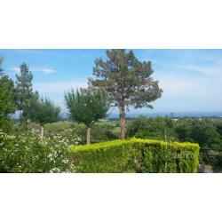 Villa con ampio giardino
