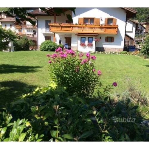 LUGLIO tra LE FESCHE DOLOMITI del PRIMIERO 4 xsone
