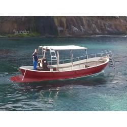 Gite in barca Ponza