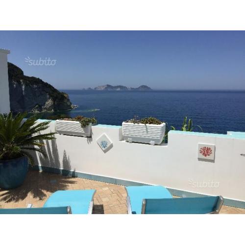 Ponza: Meraviglioso bilocale sul mare