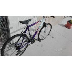 Montain bike nuova