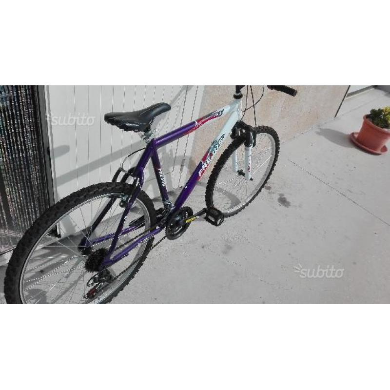Montain bike nuova