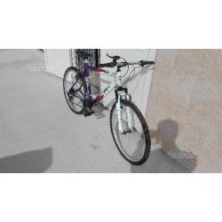 Montain bike nuova