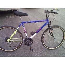 Bici mountain bike
