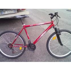 Bici mountain bike