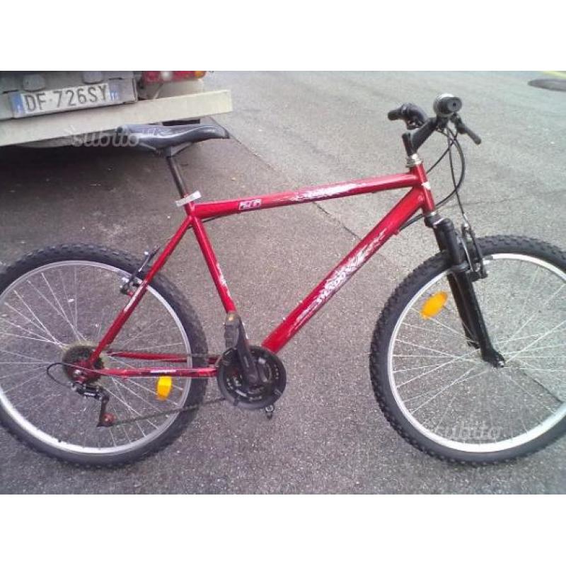 Bici mountain bike