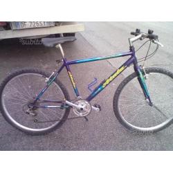Bici mountain bike