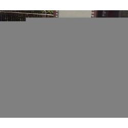 RENAULT Clio 1.5 dci Navi/Cruise C/Imp.Telefono