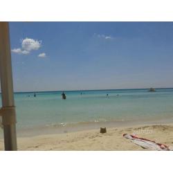 Ampio monolocale nel verde sul mare a Torre Lapill