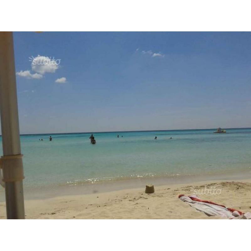 Ampio monolocale nel verde sul mare a Torre Lapill