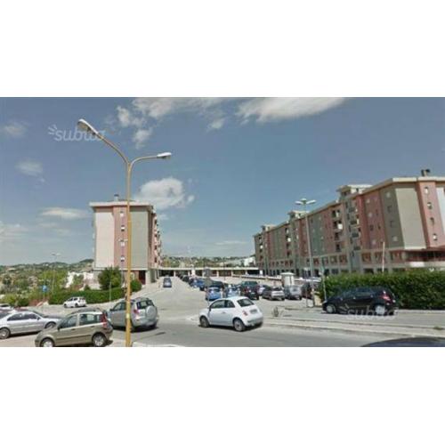 Parco dei Pini