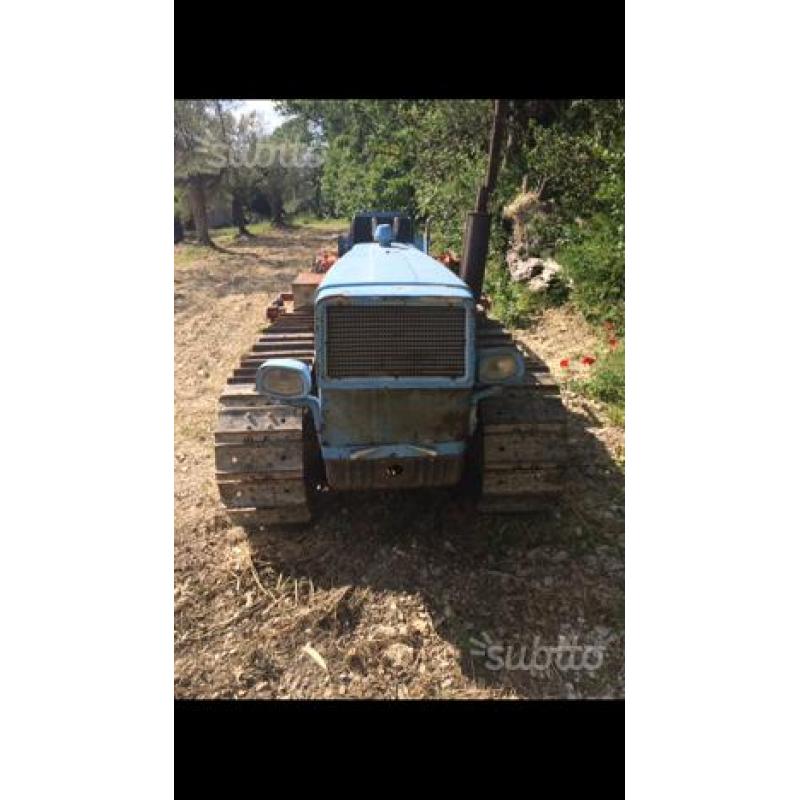 Landini