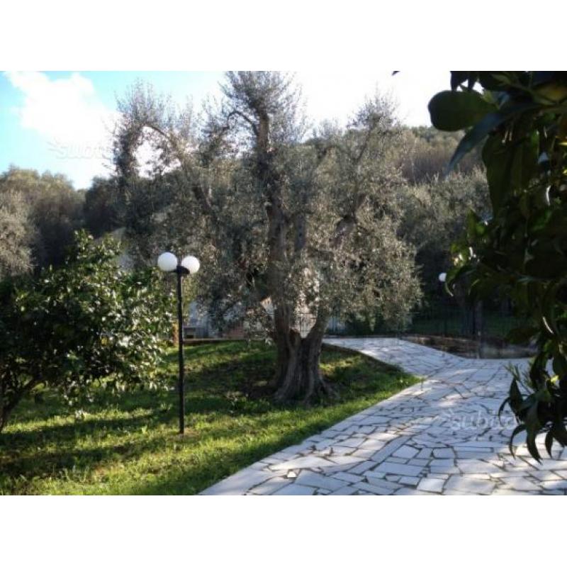 Case Vacanza, villa GARGANO a 600 m dal MARE