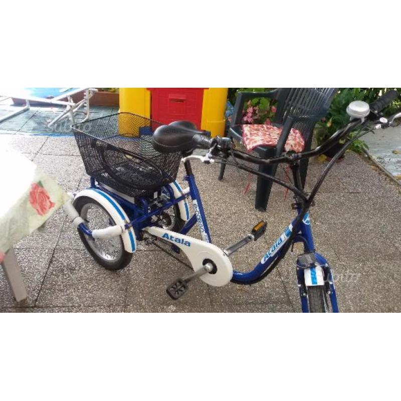 Bici elettrica tre ruote