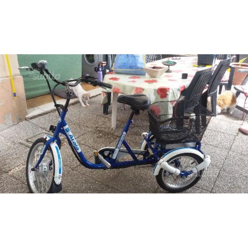 Bici elettrica tre ruote