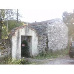 Vigneto Sa Massa Bonorva