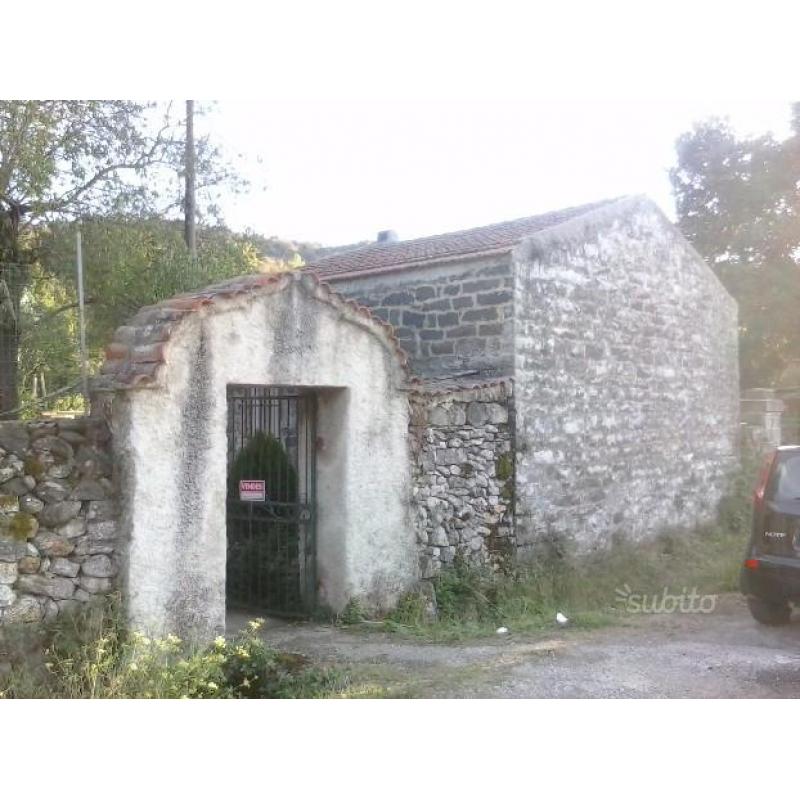 Vigneto Sa Massa Bonorva