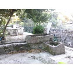 Vigneto Sa Massa Bonorva