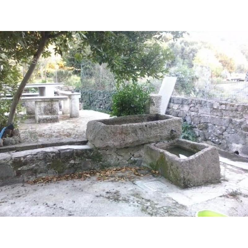Vigneto Sa Massa Bonorva