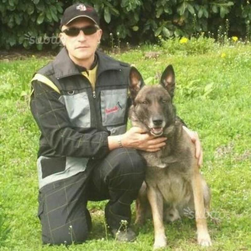 Parcheggiatore - guardarobiera