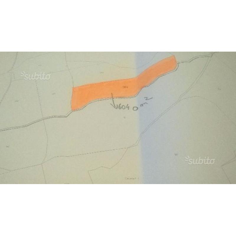 Terreni agricoli e boschivi a Padivarma
