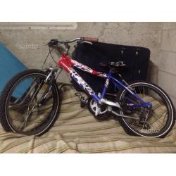 Bicicletta bimbo