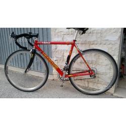 Bici da corsa