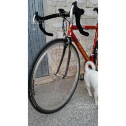Bici da corsa