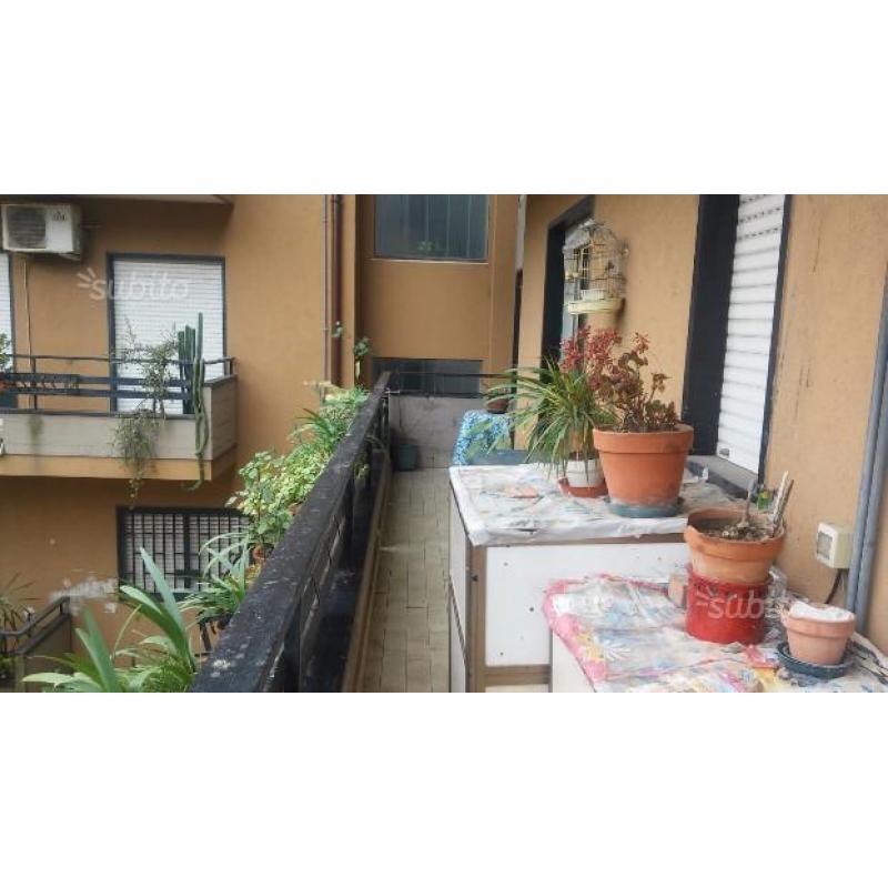 Quadrivani via badia