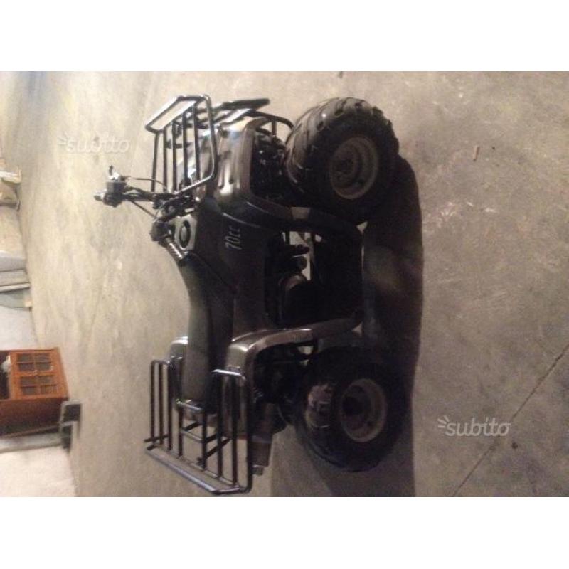 WT Motors Altro modello - 2013