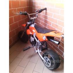 Minimotard