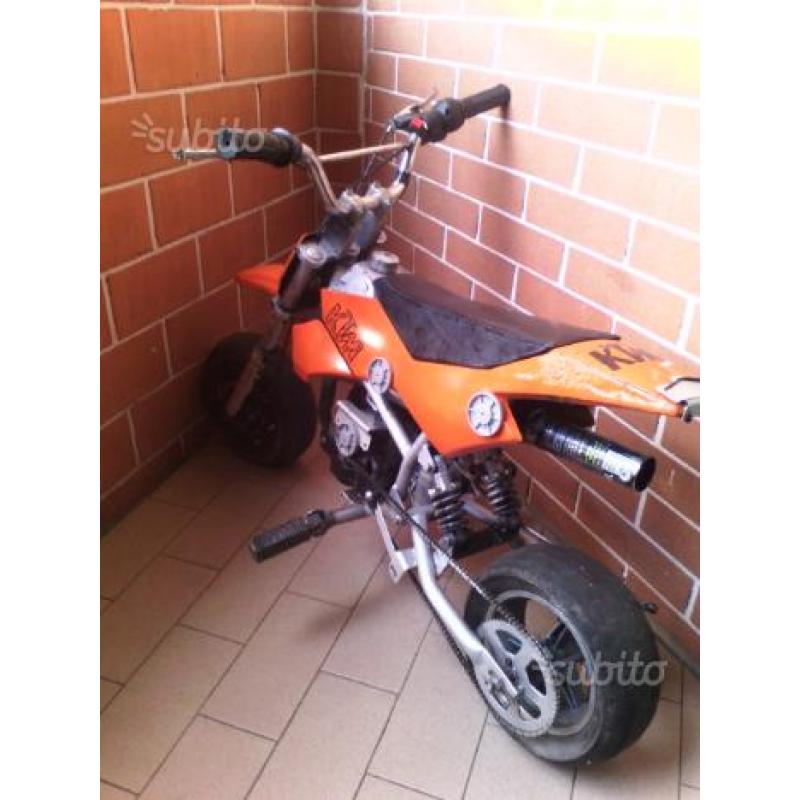 Minimotard