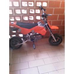 Minimotard