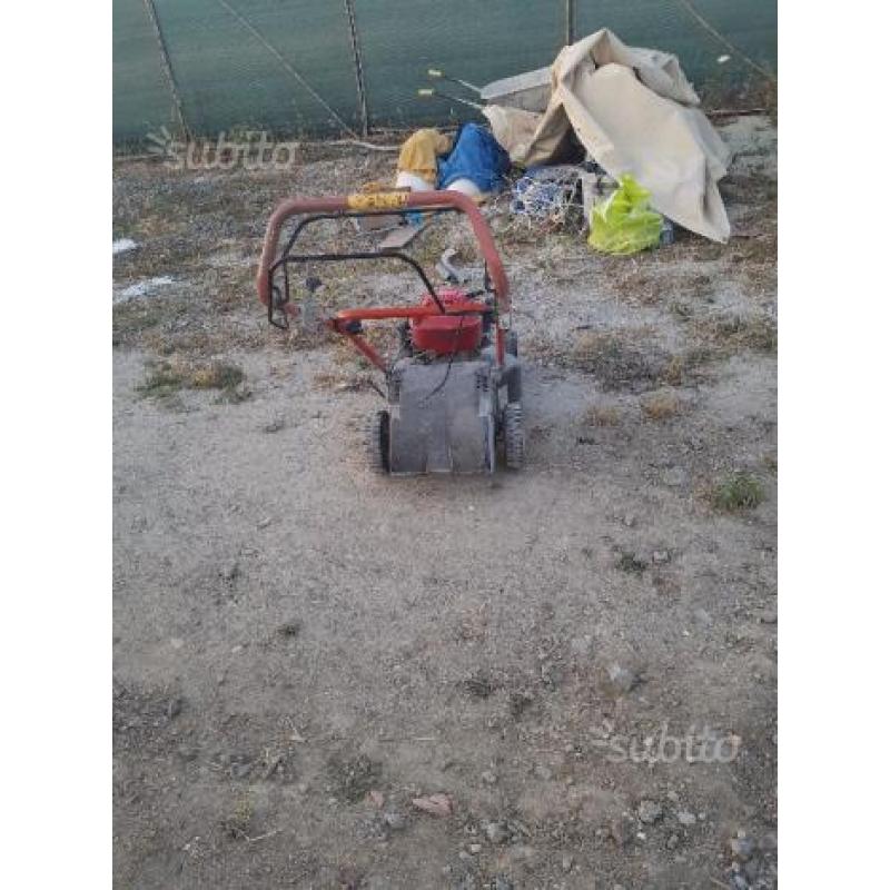 Tosaeroba per prato