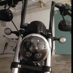 Harley 883