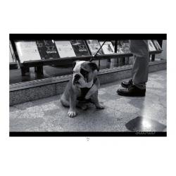 Fotografia Milano Professionale