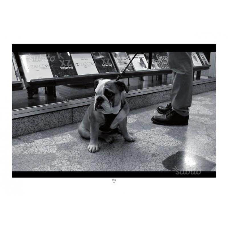 Fotografia Milano Professionale