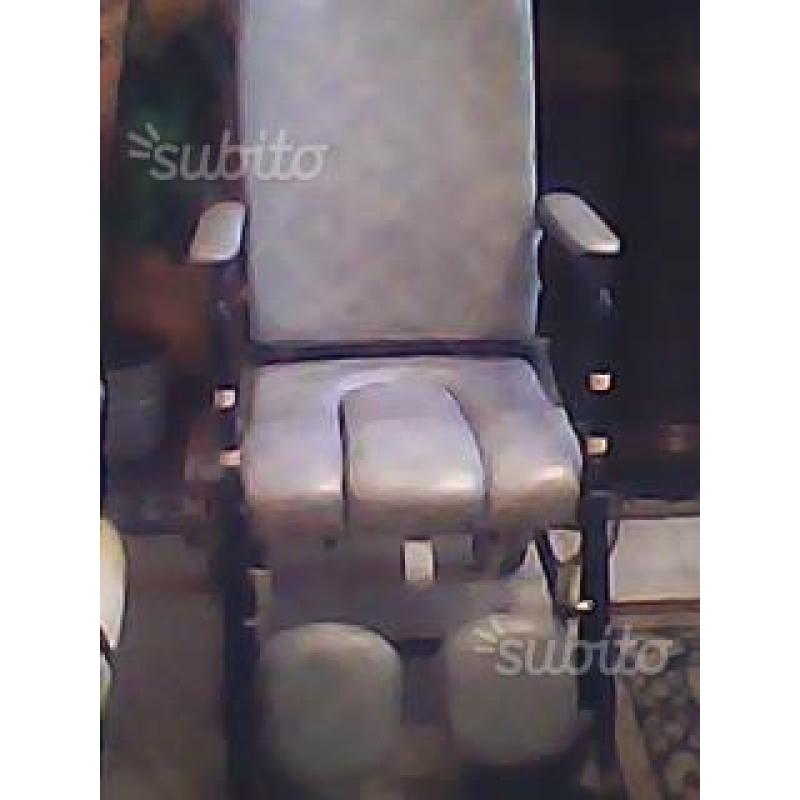Sedia a rotelle