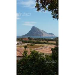 Villetta Sardegna San Teodoro-vaccileddi