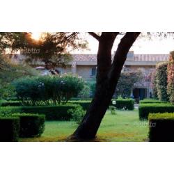 Appartamento nel Villaggio Capopiccolo