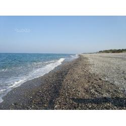 Vacanza con il tuo cane,mono x2 dal 24 al 31 /8
