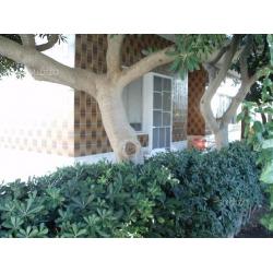 Bilocale 2-4 pax 100m mare centro 16-23luglio 250e