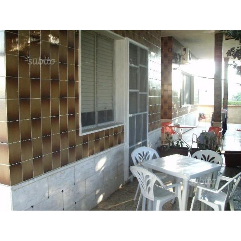 Bilocale 2-4 pax 100m mare centro 16-23luglio 250e
