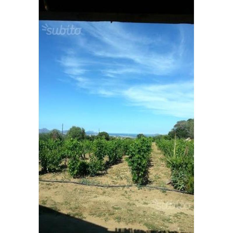 Casale di campagna - Olbia