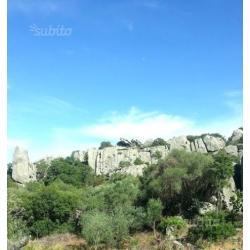 Casale di campagna - Olbia