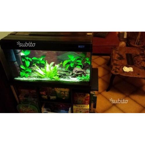 Acquario 150lt con mobile