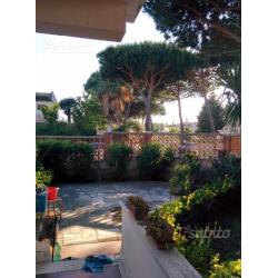 Appartamento Tor san Lorenzo lido