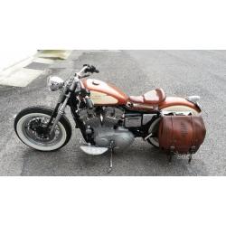 Harley-Davidson Sportster custom springer 883