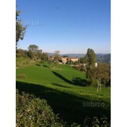 Rustico + terreno edificabile