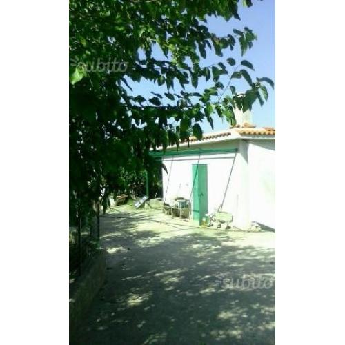 Terreno di 6000 metri con casa rurale a Matera